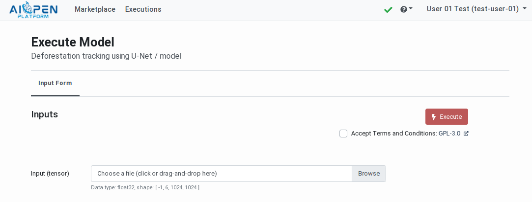 ../_images/exploitation-model-execution-form.png